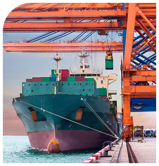 CK Exports - Import and Export
