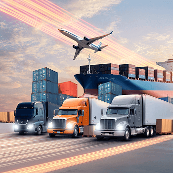 CK Exports Global Trade